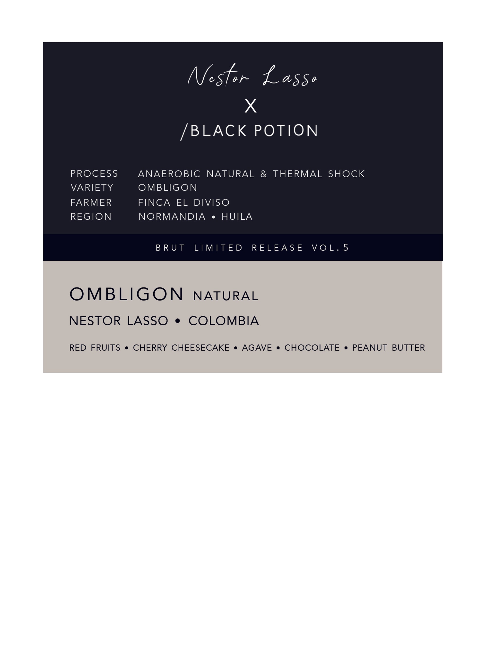 BRUT vol.5 • Nestor Lasso • ombligon