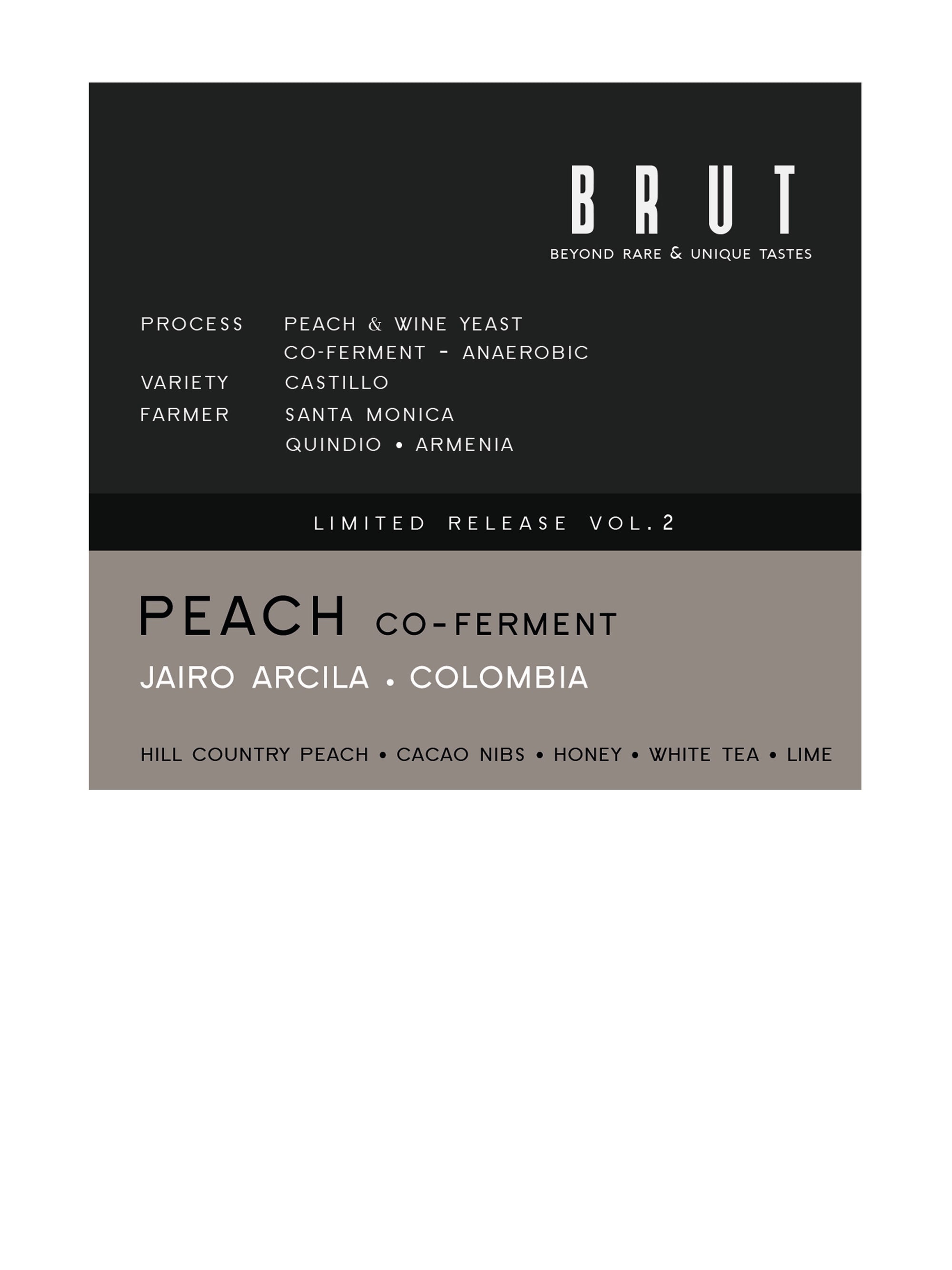 BRUT vol.2 • Jairo Arcila